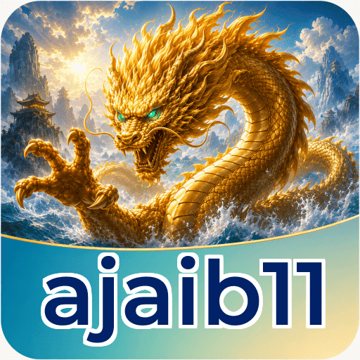 Audit profile ajaib11
